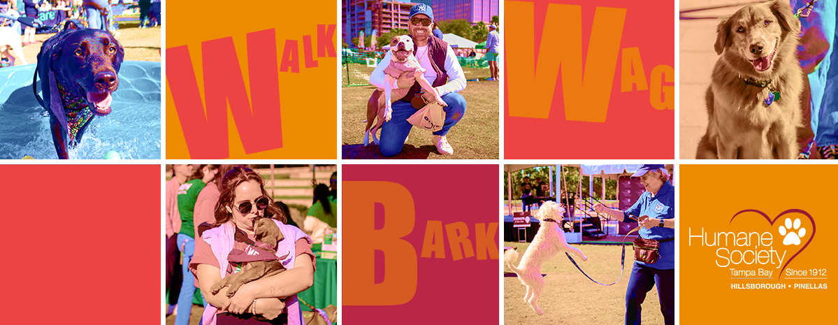 Bark in the Park 2027 - St Pete